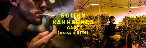 2c-b Алзамай