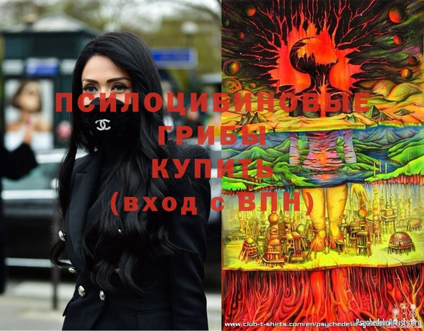 спиды Алексеевка