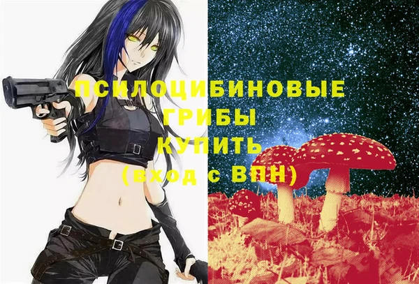 спиды Алексеевка
